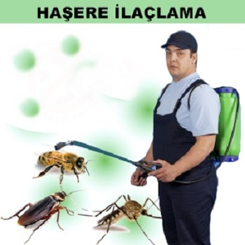 Şebinkarahisar Böcek İlaçlama